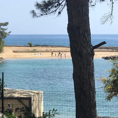 Apartment Sea Breeze Avsallar 78 *