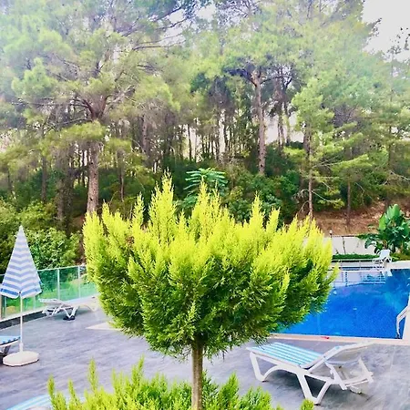 Appartement Sea Breeze Avsallar 78 *